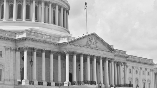 The Role of the Vice President in Shaping Human Rights Programs and Committees
