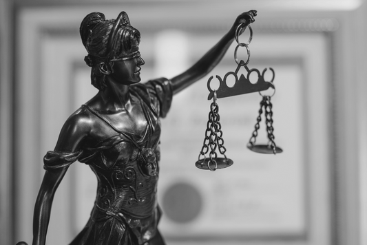 How the Three Branches of Government Interact